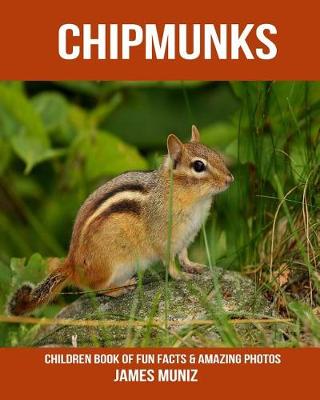 Book cover for Chipmunks