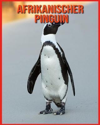 Book cover for Afrikanischer Pinguin