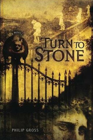 Cover of Turn to Stone