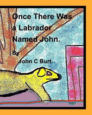 Book cover for Once There Was a Labrador Named John.