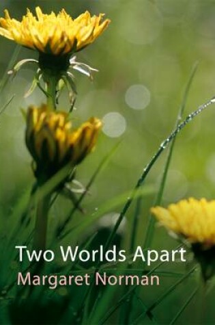 Cover of Two Worlds Apart