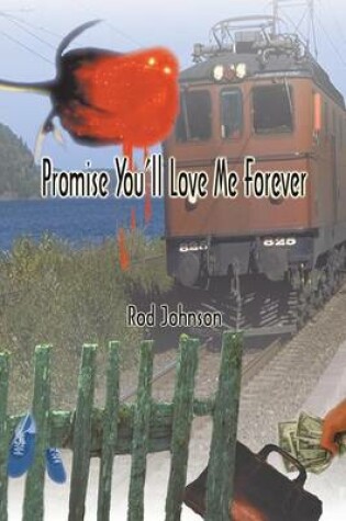 Cover of Promise You'll Love Me Forever