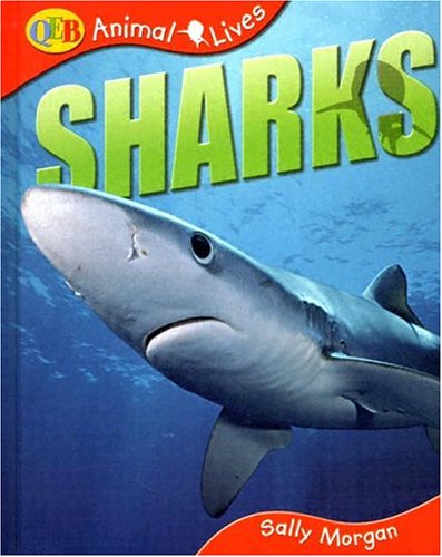 Book cover for Animal Lives Sharks Us