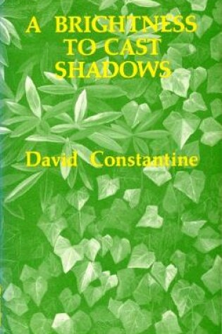 Cover of A Brightness to Cast Shadows