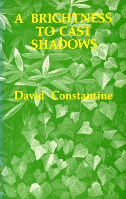 Book cover for A Brightness to Cast Shadows