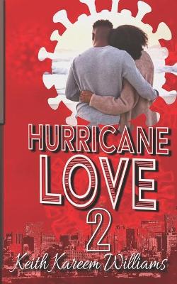 Book cover for Hurricane Love 2