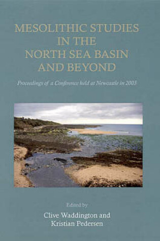 Cover of Mesolithic Studies In The North Sea Basin And Beyond