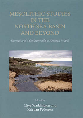 Book cover for Mesolithic Studies In The North Sea Basin And Beyond