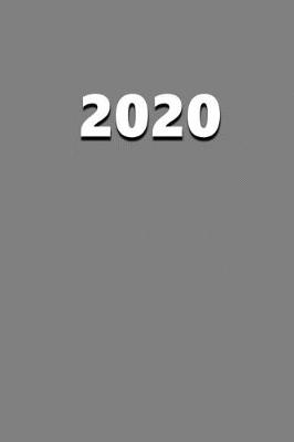 Cover of 2020 Daily Planner 2020 Grey Color 384 Pages