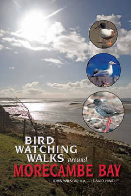 Book cover for Birdwatching Walks Around Morecambe Bay