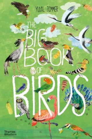 Cover of The Big Book of Birds