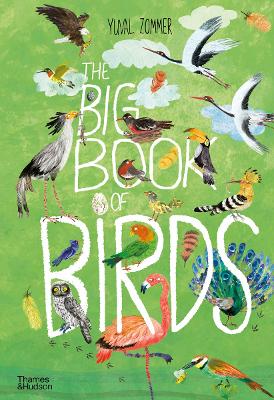 Book cover for The Big Book of Birds