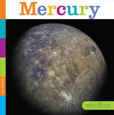 Book cover for Mercury