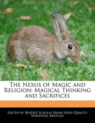 Book cover for The Nexus of Magic and Religion