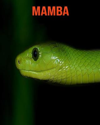 Book cover for Mamba