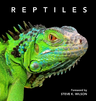 Book cover for Reptiles