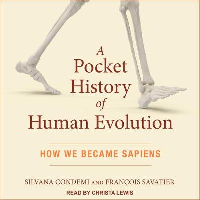 Book cover for A Pocket History of Human Evolution