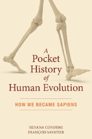 Cover of A Pocket History of Human Evolution