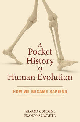 Book cover for A Pocket History of Human Evolution