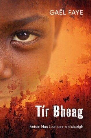 Cover of Tir Bheag