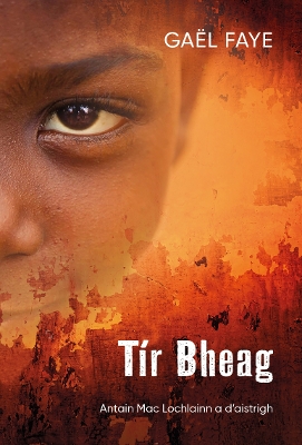 Book cover for Tir Bheag