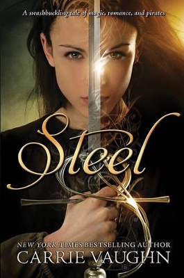 Book cover for Steel