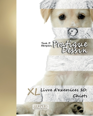 Book cover for Pratique Dessin - XL Livre d'exercices 10