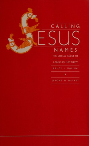 Book cover for Calling Jesus Names