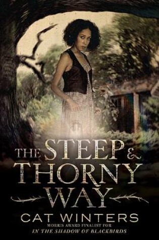 Cover of The Steep and Thorny Way