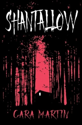 Cover of Shantallow