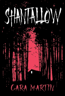 Book cover for Shantallow