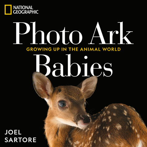 Book cover for National Geographic Photo Ark Babies