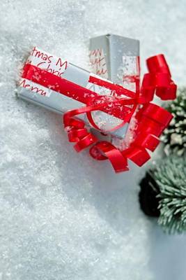 Book cover for Christmas Presents in the Snow Wrapped in a Red Bow