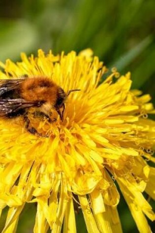 Cover of Taraxacum Dandelion Flower with a Bee Journal