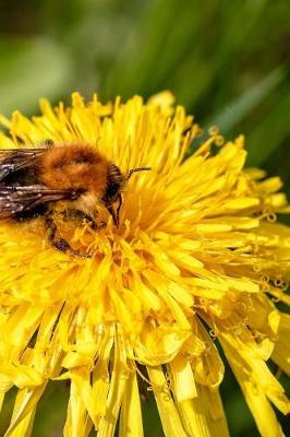 Book cover for Taraxacum Dandelion Flower with a Bee Journal