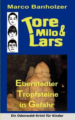 Book cover for Tore, Milo & Lars - Gefahr Fur Die Eberstadter Tropfsteine