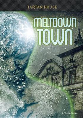 Book cover for Meltdown Town