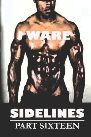 Cover of Sidelines Part Sixteen