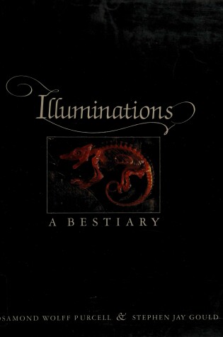 Cover of ILLUMINATIONS A BESTIARY CL