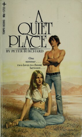 Book cover for A Quiet Place