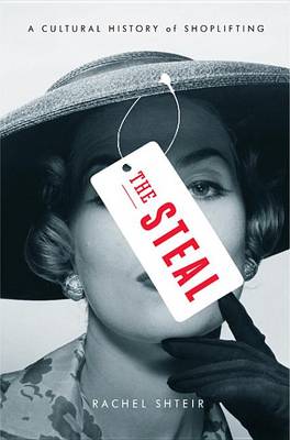 Book cover for The Steal