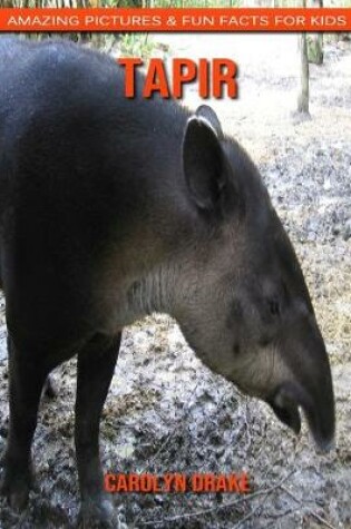 Cover of Tapir