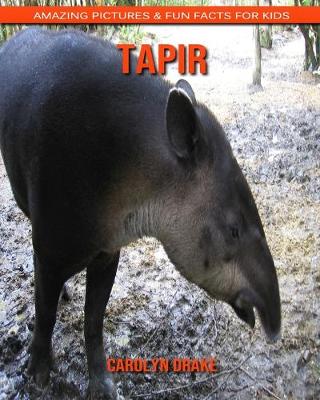 Book cover for Tapir