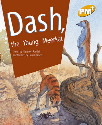 Book cover for Dash, the Young Meerkat