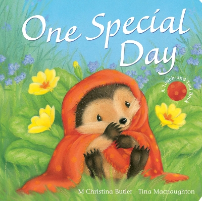 Book cover for One Special Day