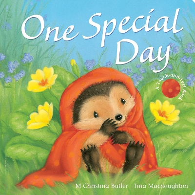 Cover of One Special Day