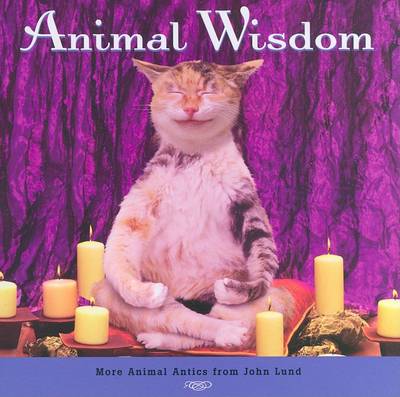 Book cover for Animal Wisdom (TB)