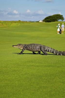 Book cover for Alligator on a Golf Course Journal