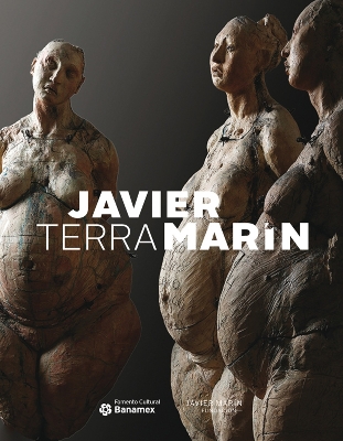 Book cover for Javier Marin