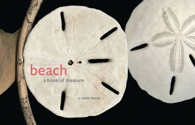 Book cover for Beach